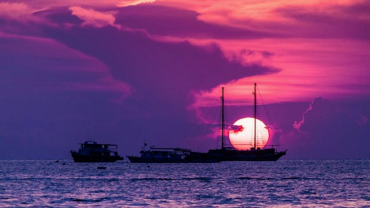 barcos