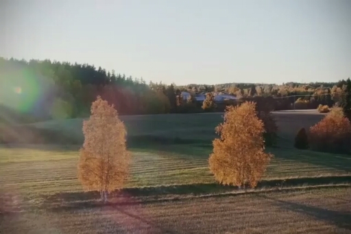 nature
