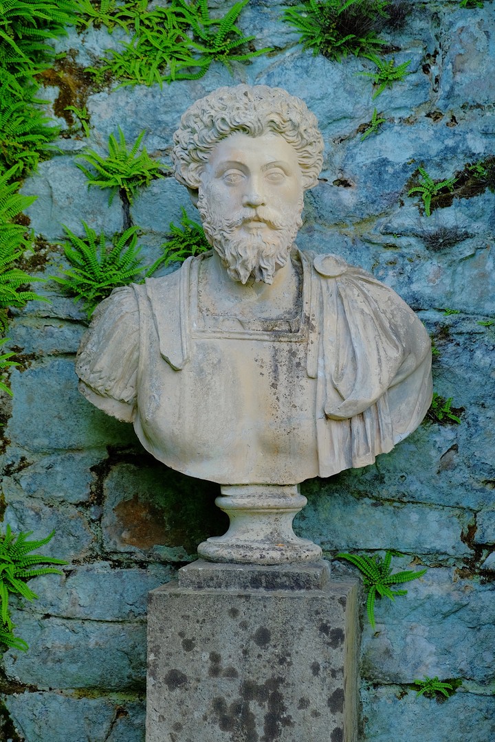 Bust Sculpture Stone
