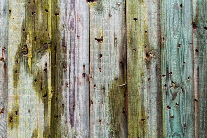 Holz mit Löchern