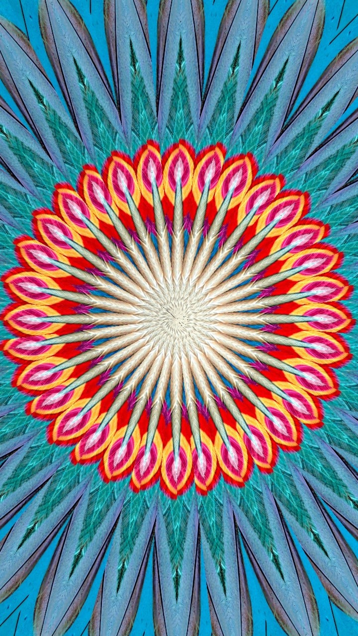 Wall graffiti kaleidoscope