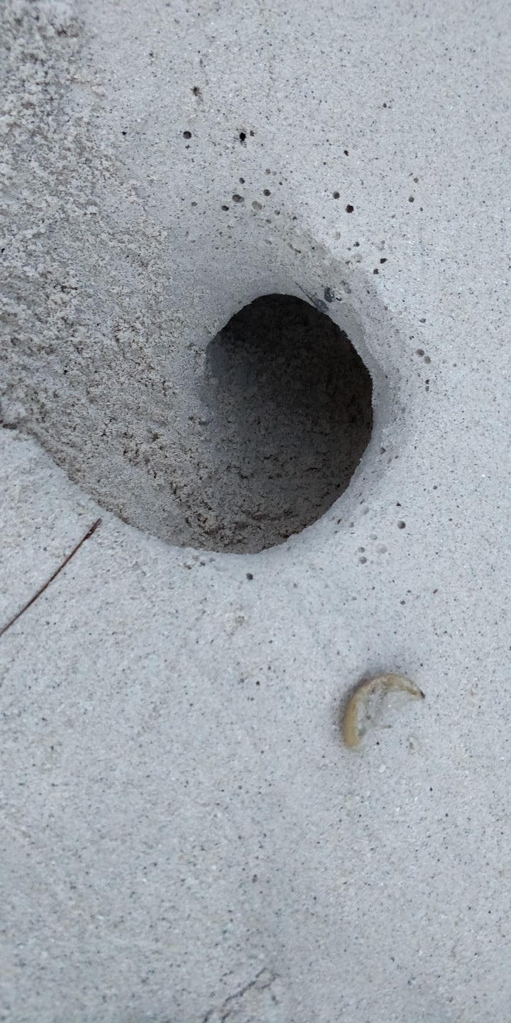 crab house