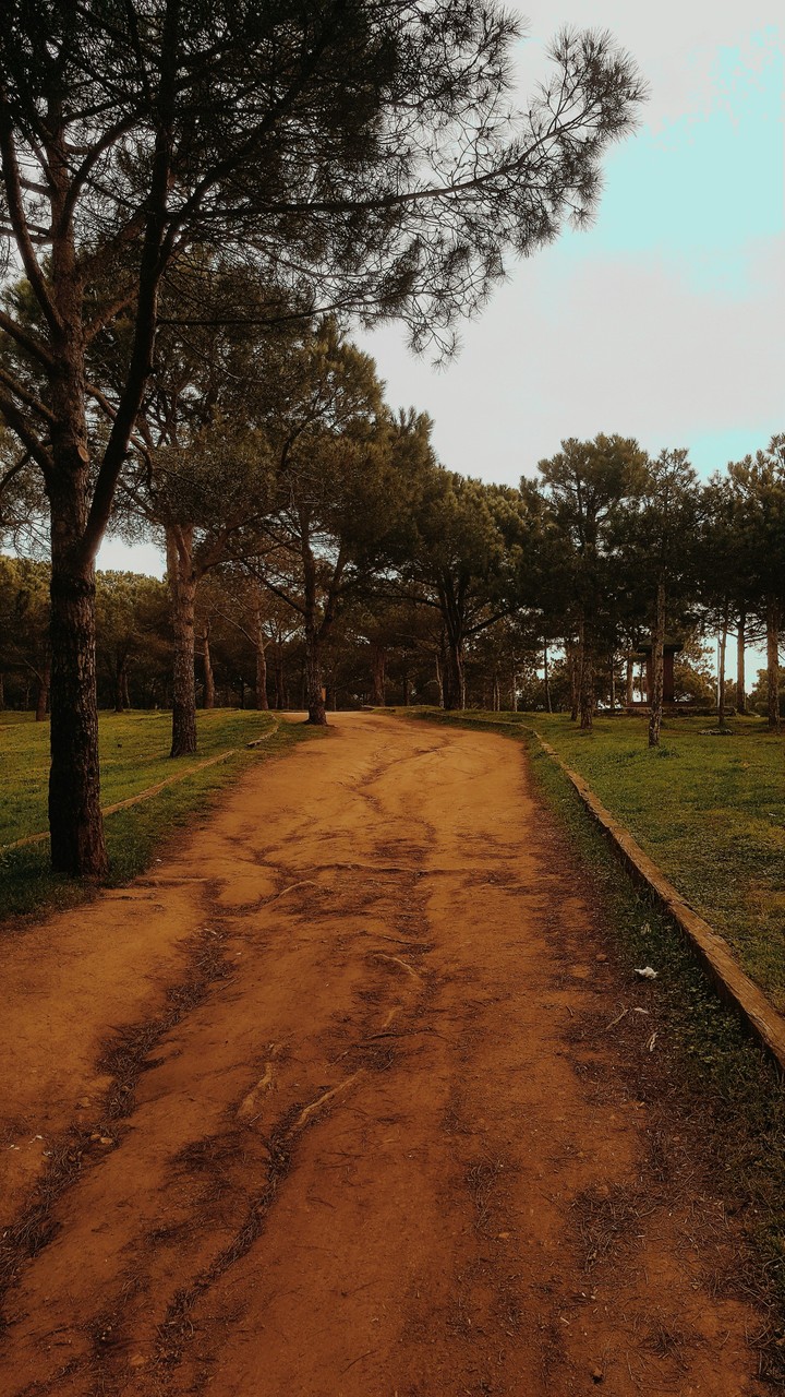 doğa