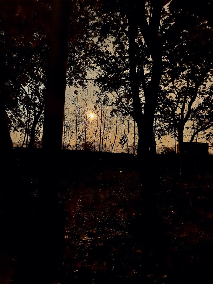 sunset
