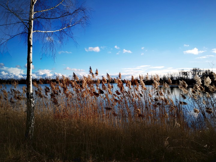for a winter walk