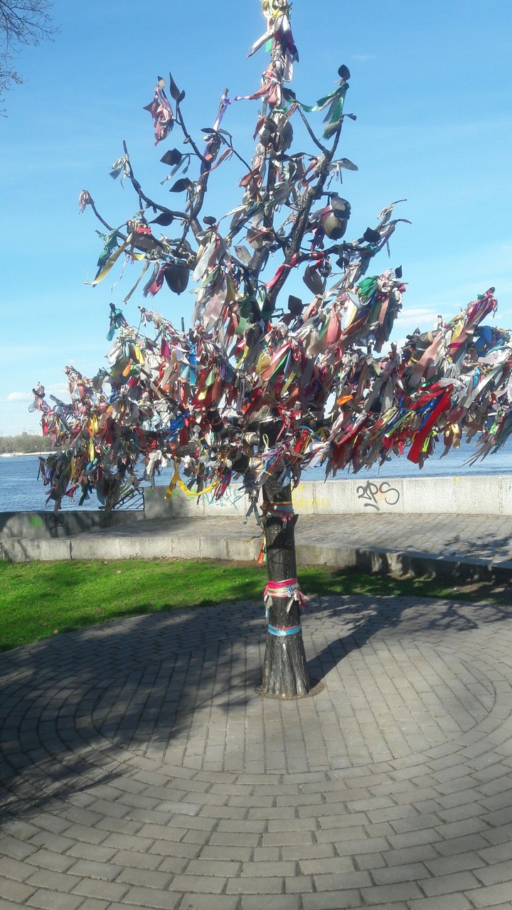 tree