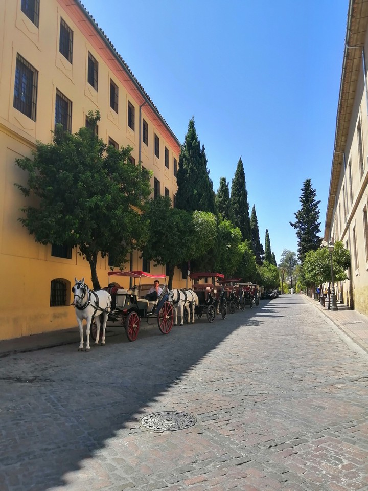 Córdoba