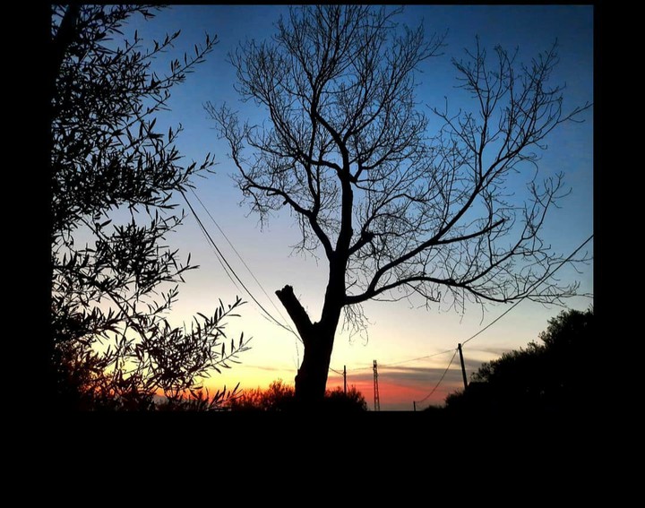 Luci ed ombre