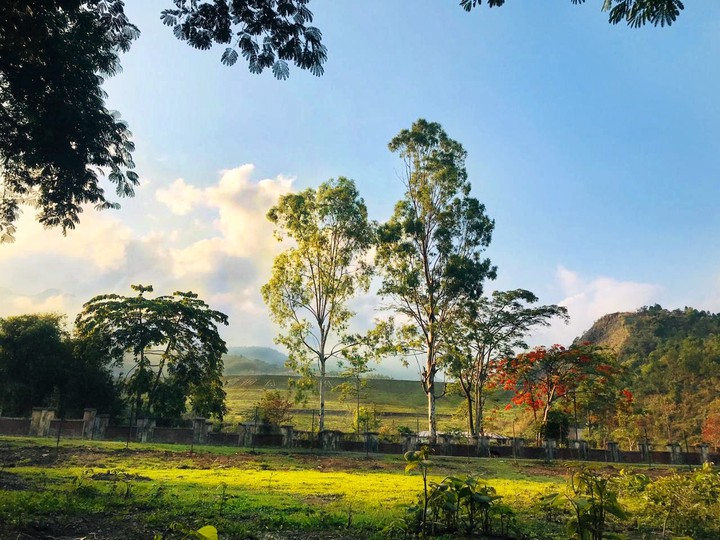 countryside
