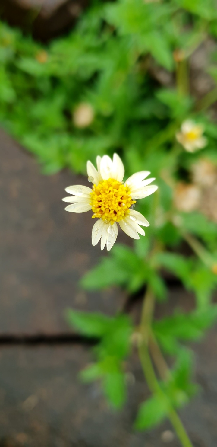 nature love