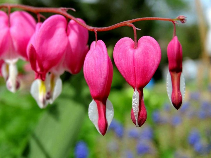 ❤ ❤ ❤