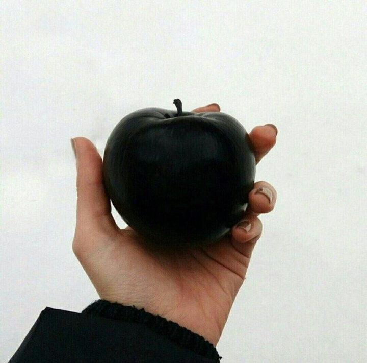 обои