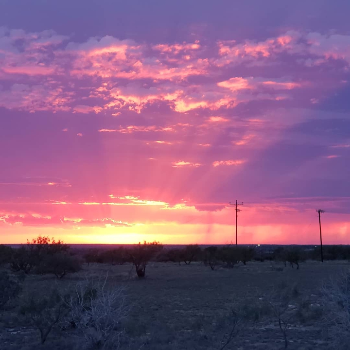 beauty in the desert