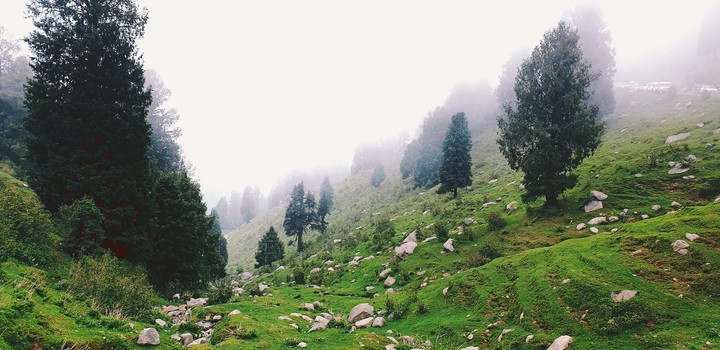 Nature at its best