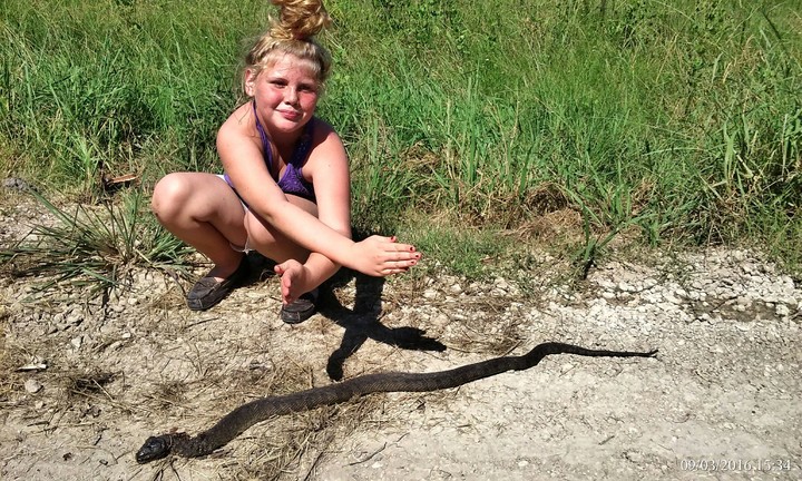 A Dead Water Moccasin ( Thanks to me)