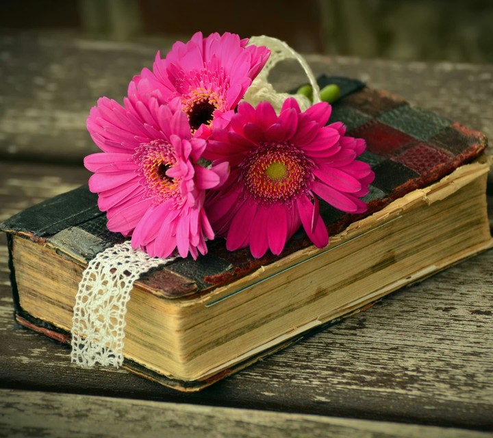 Book of Fortune