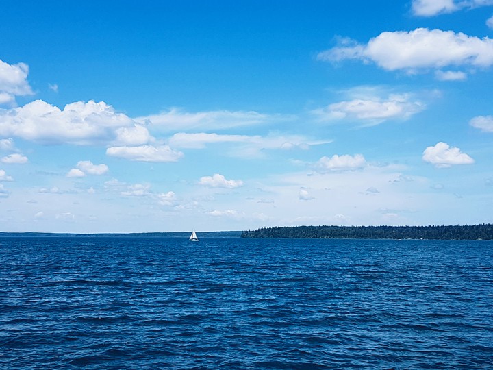 All Shades of Blue!