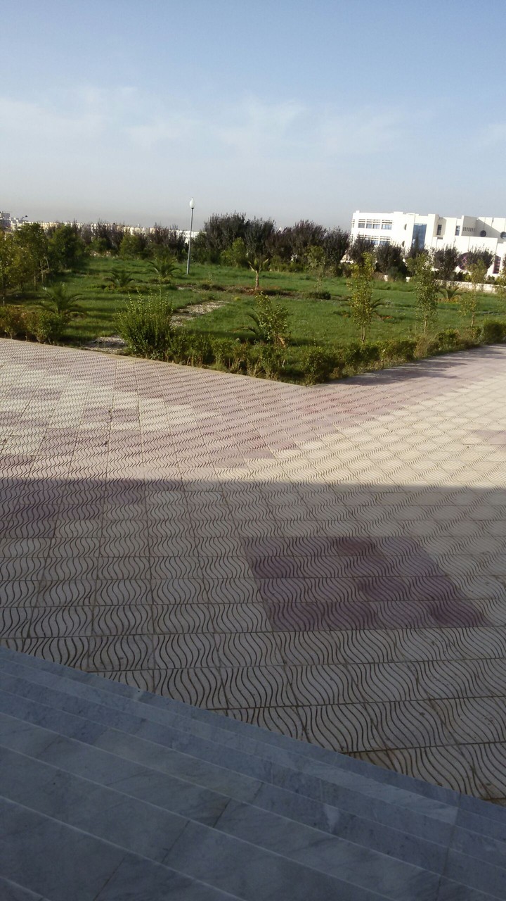 Landscape