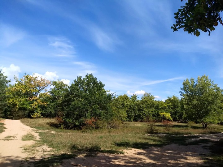 colours of late summer