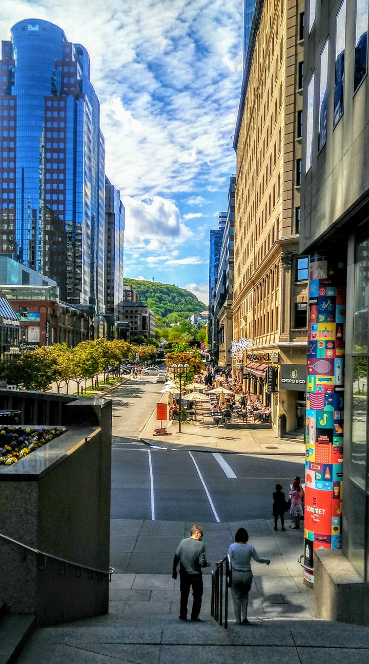 Mc Gill College Blvd Montreal