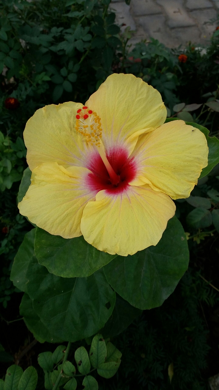 A thing of beauty gives joy for ever