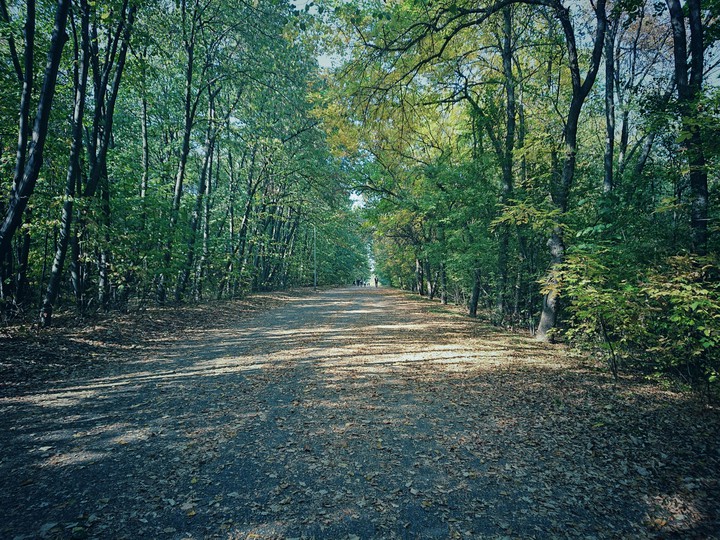Autumn
