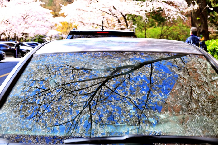 Spring
