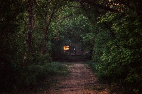 forest