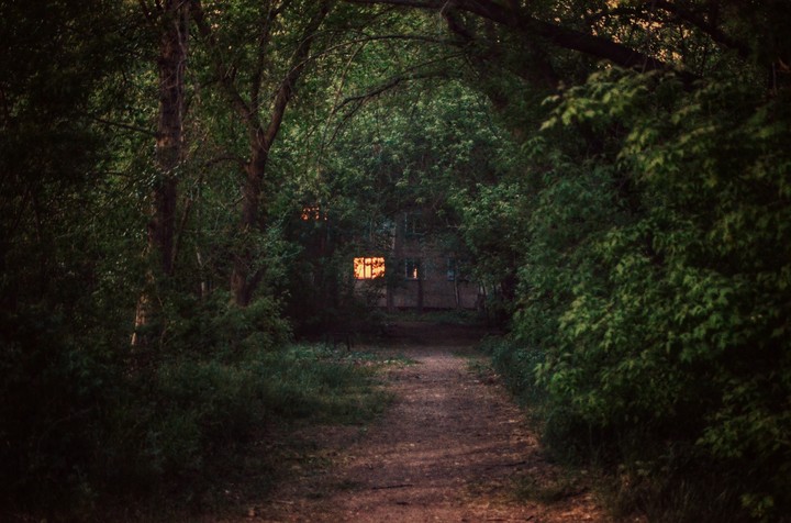 forest