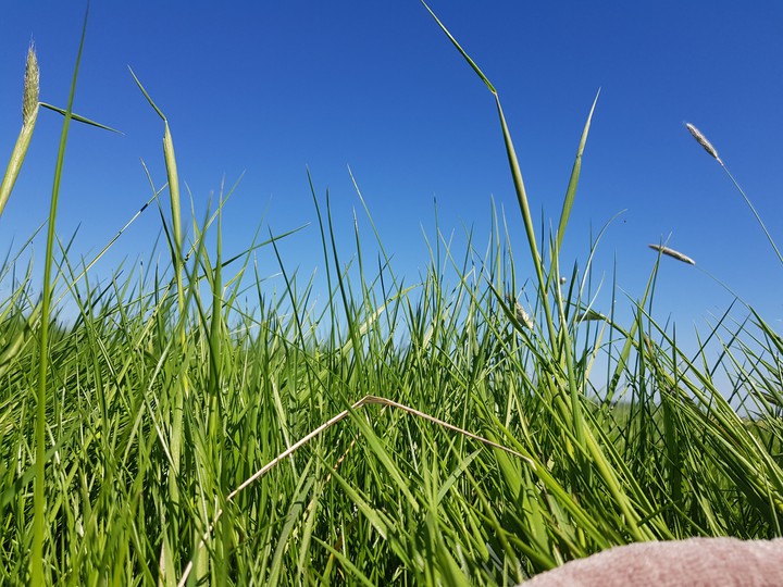 Sky is blue