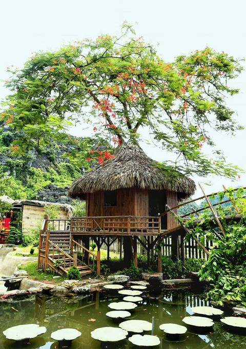Thatched Hut