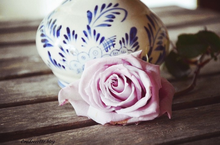 Rosa