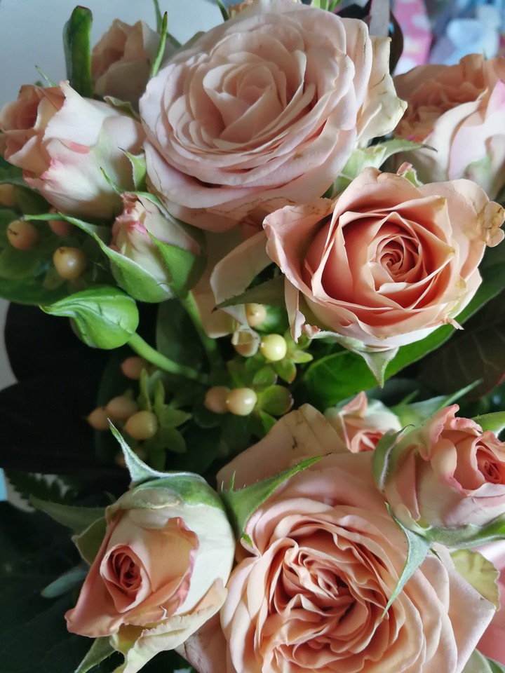 roses