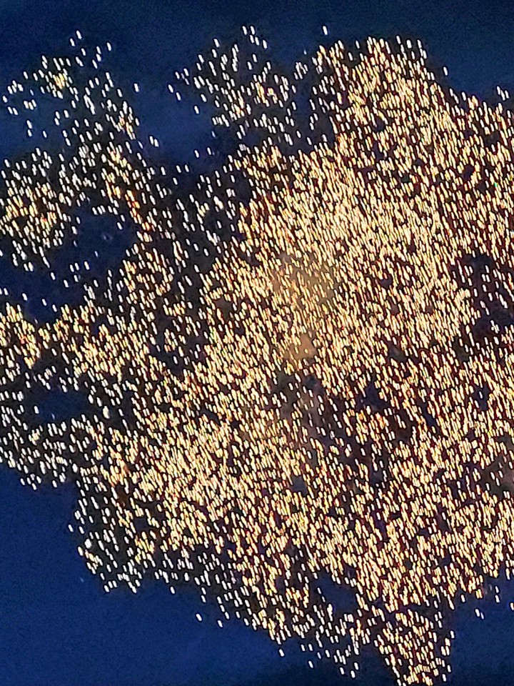 fireworks
