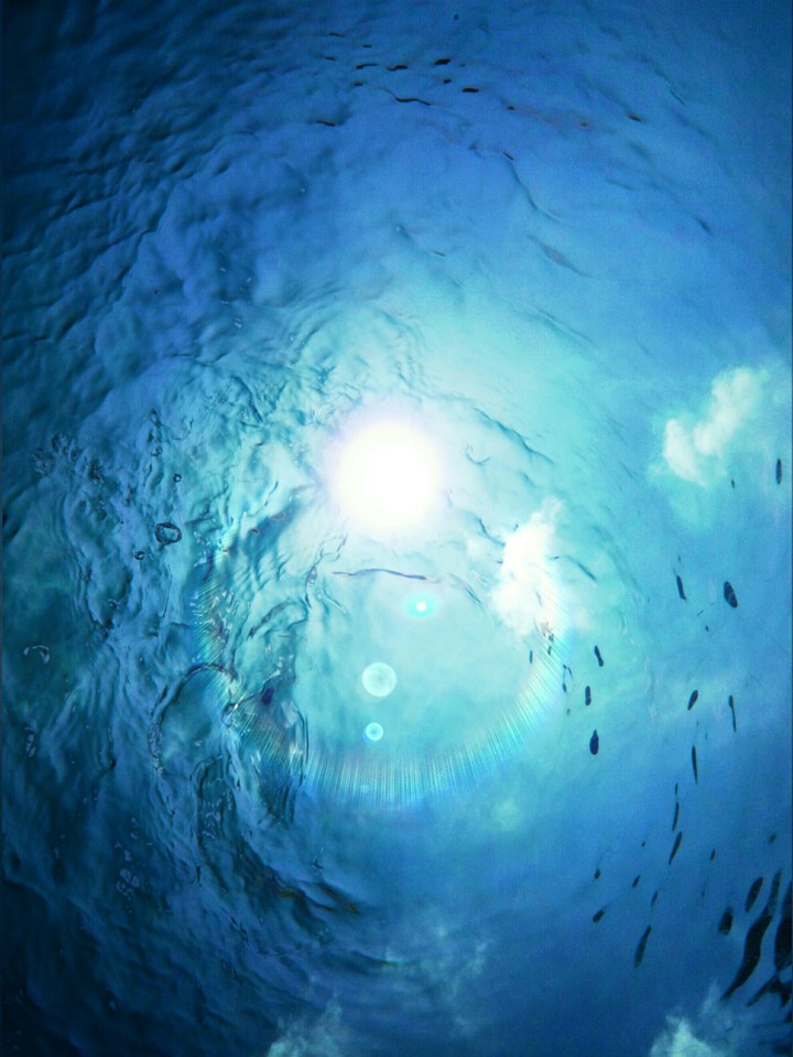 Underwater world.
