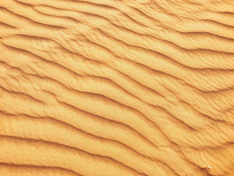 Sands of Arabia