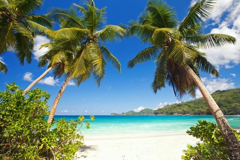 Tropical Beach