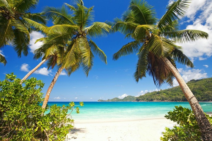 Tropical Beach