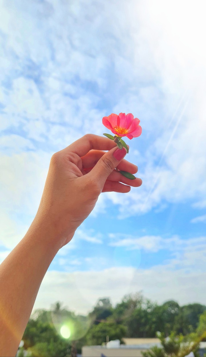 flower