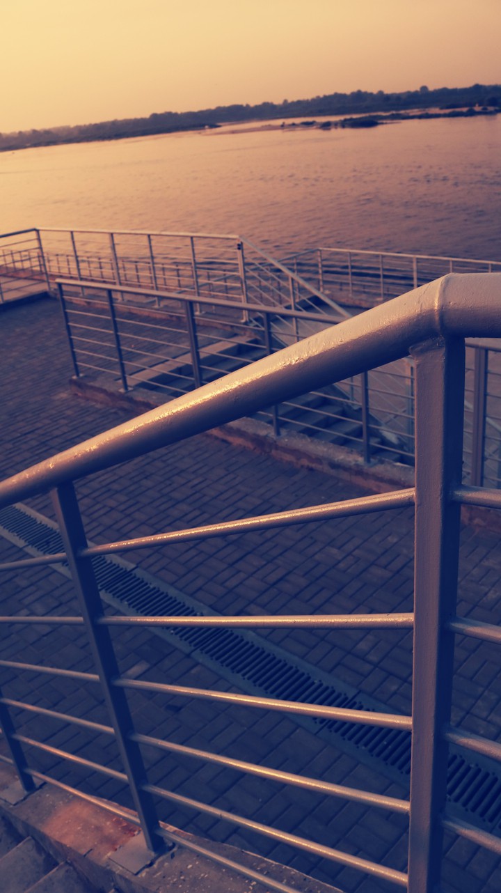 lines