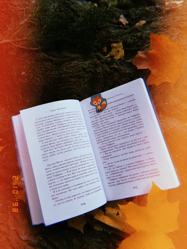 Autumn