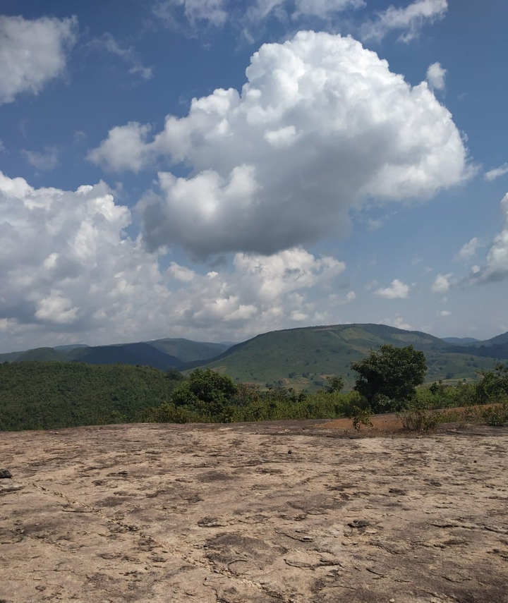 raishil image