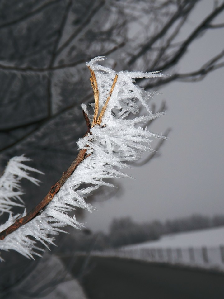 snow