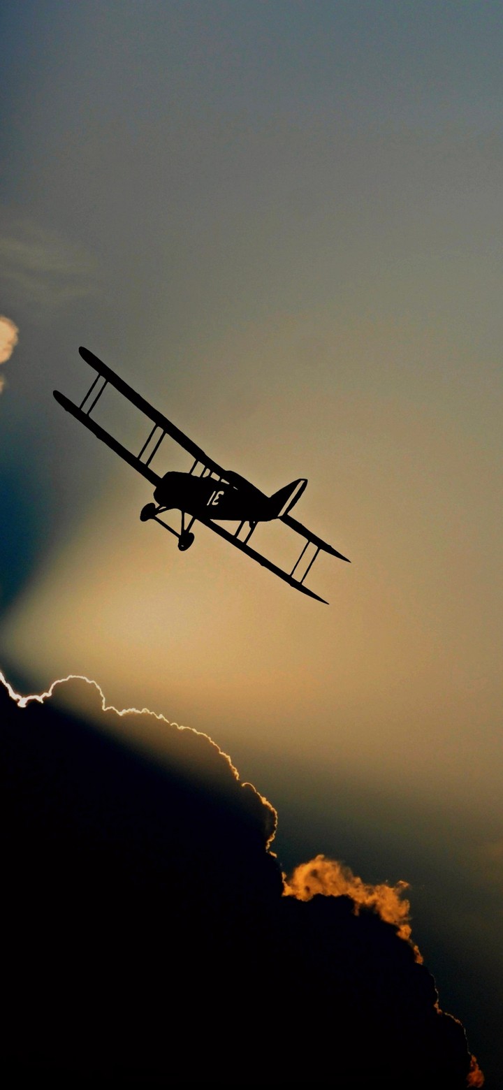 flight(*^_^*)