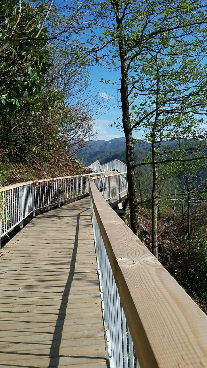 selçuklukartalı