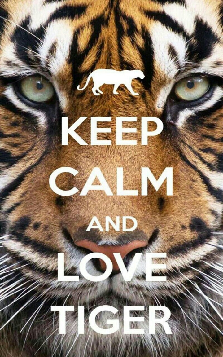 KEEP CALM and LOVE TIGER 