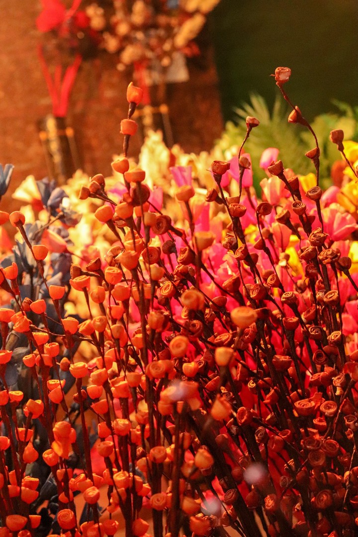 flowers & a walk into "A Lokotsav 2019 - Goa"