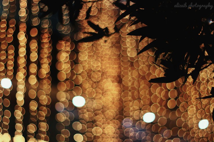 bokeh