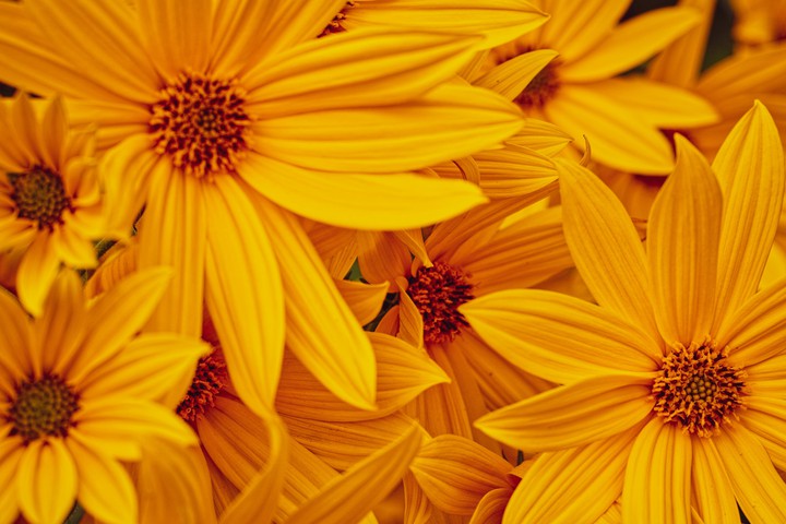 ∆