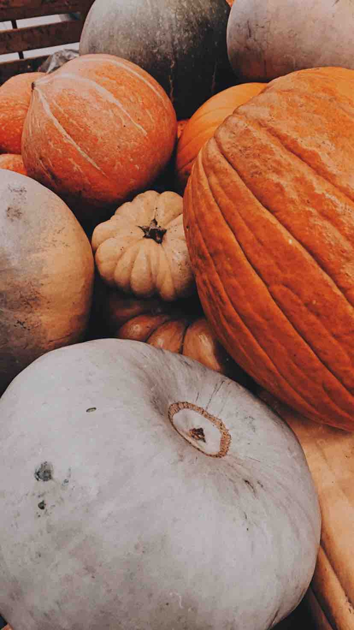 pumpkin ?
